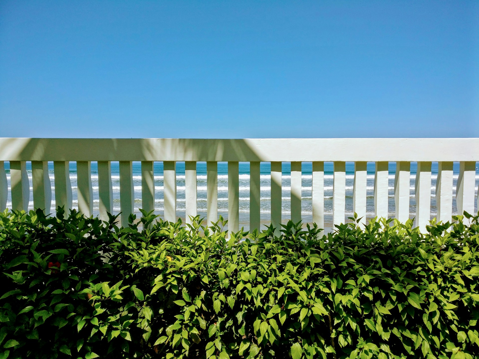 black and white bed linen