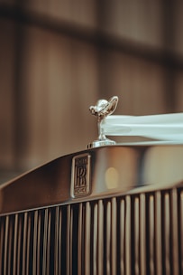 a close up of the hood ornament on a car