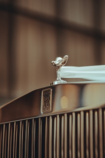 a close up of the hood ornament on a car