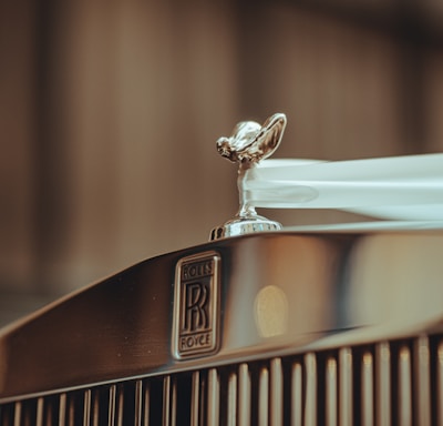 a close up of the hood ornament on a car