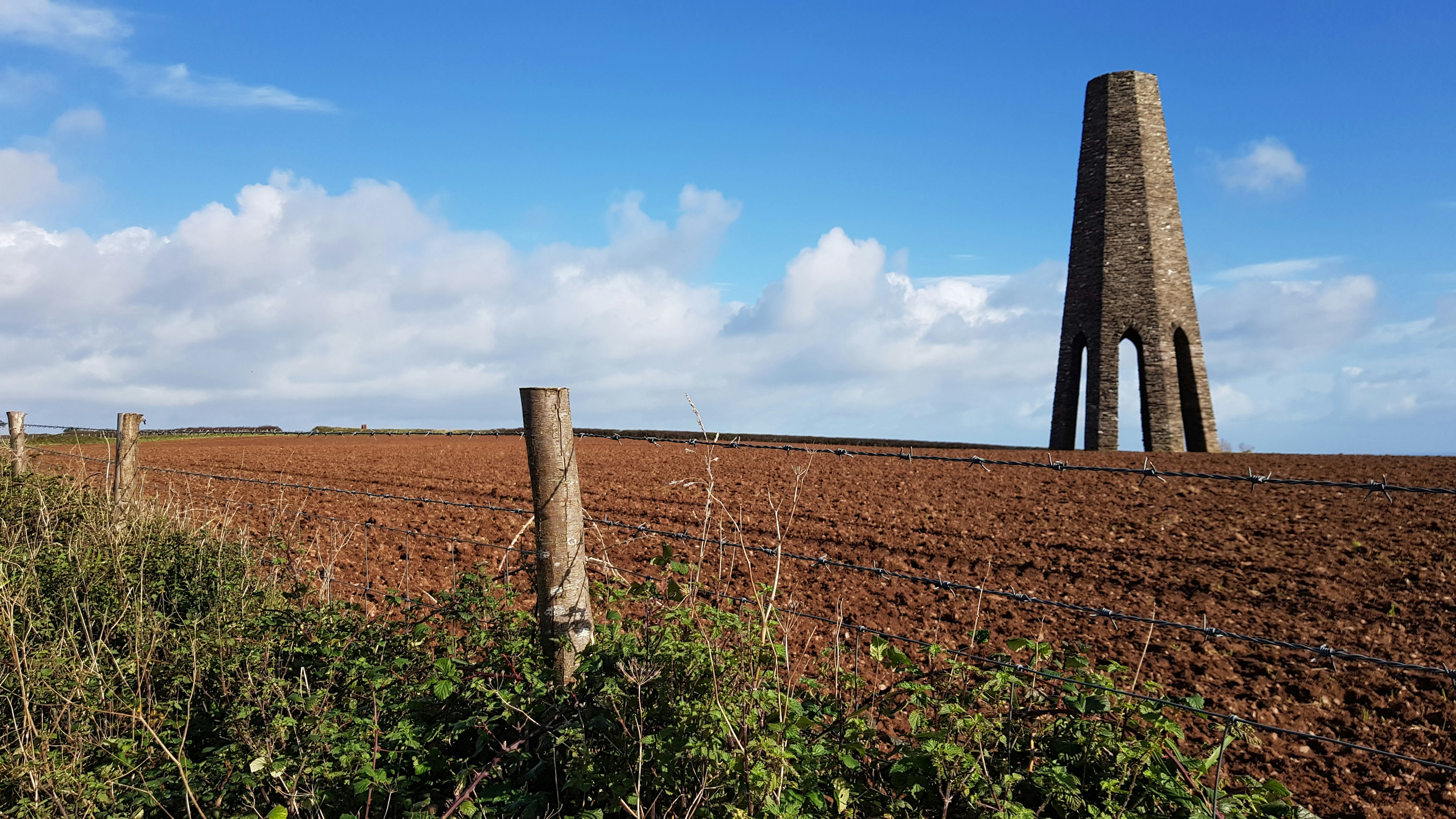 Bloxworth Snout