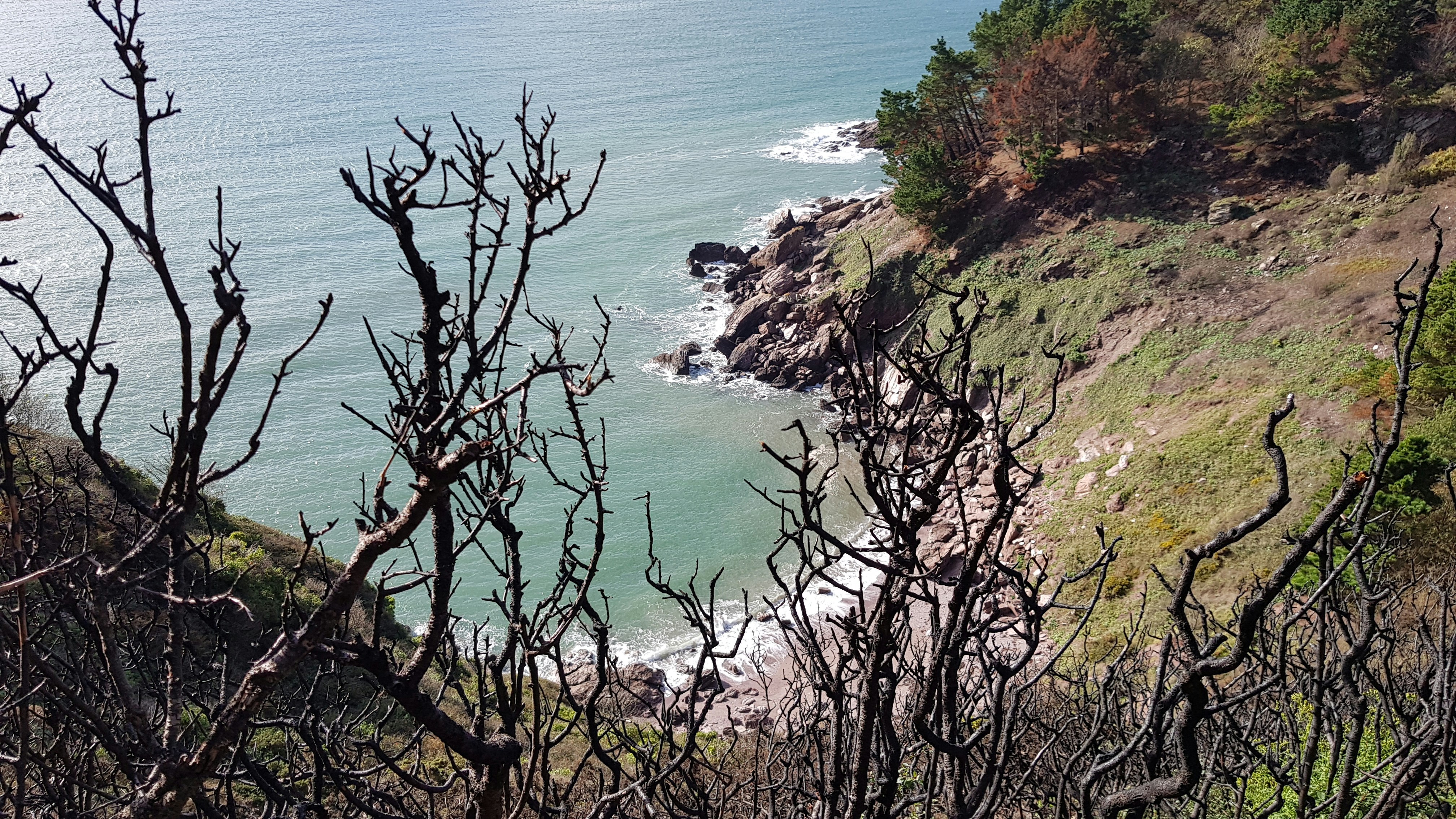 aerial view of green and brown mountain beside body of water during daytime