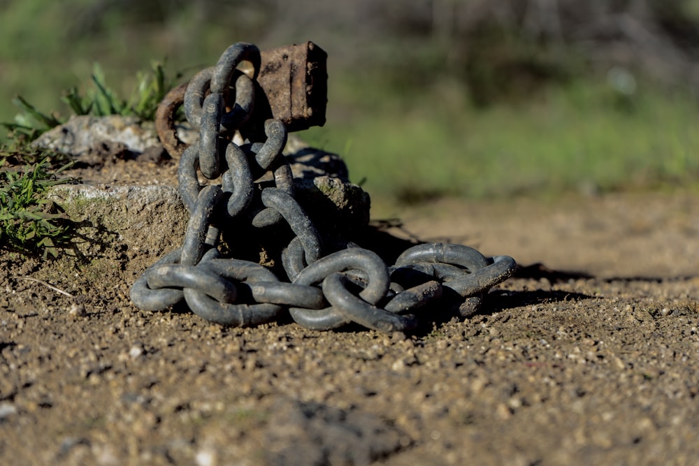 black metal chain on brown soil