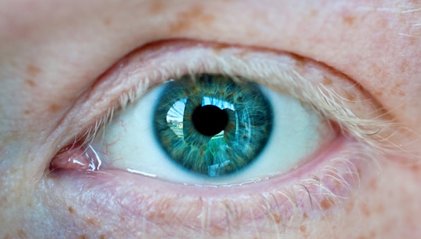 persons blue eye with green eyes