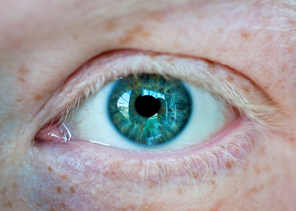 persons blue eye with green eyes