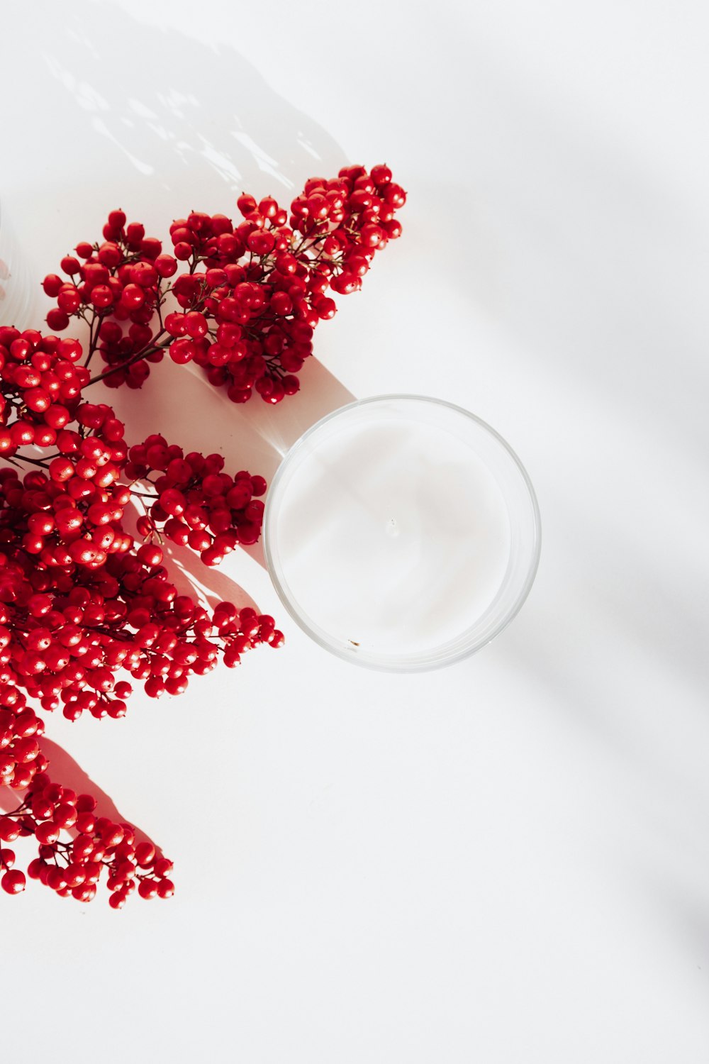 red flowers on white ceramic bowl