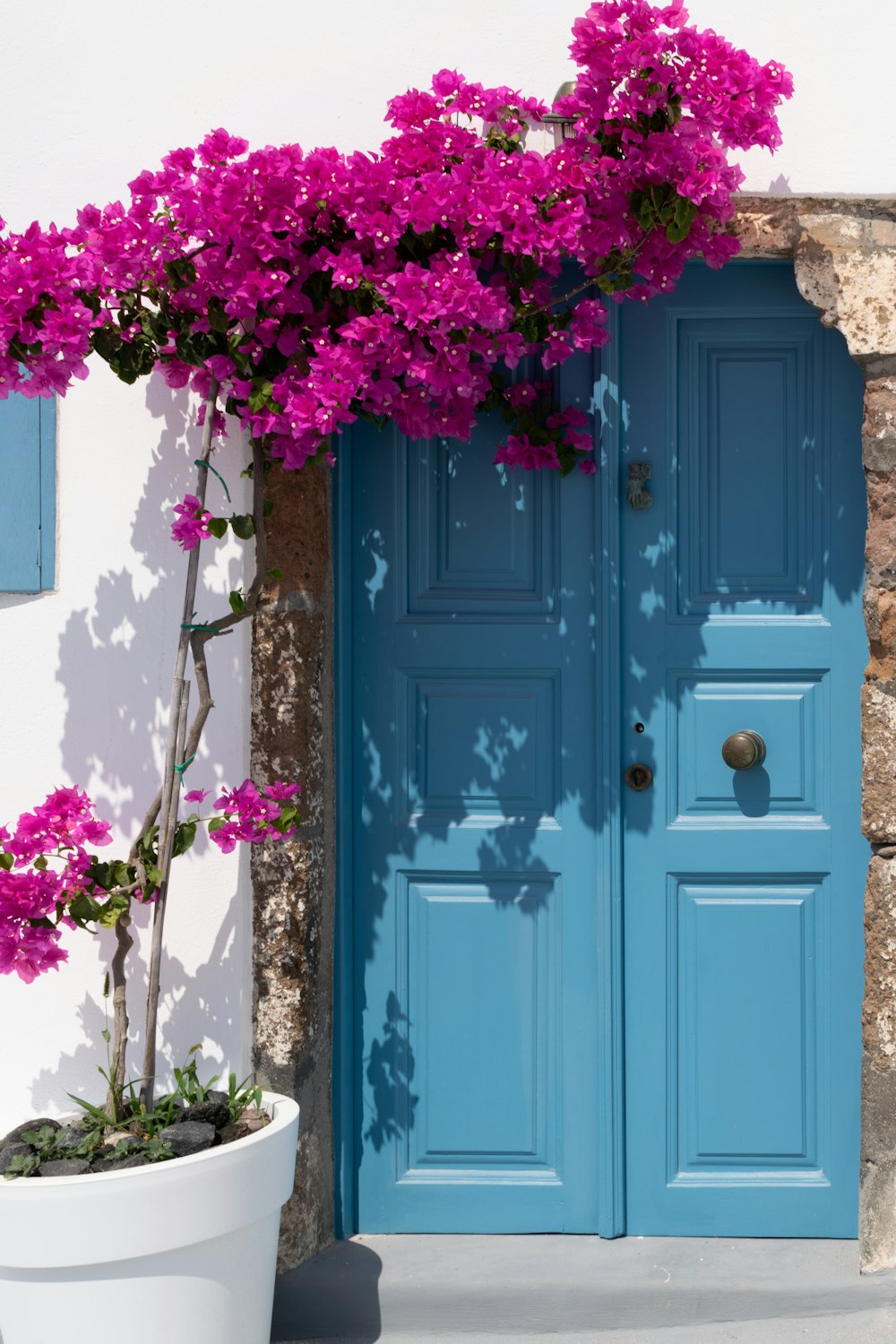 flores roxas na porta de madeira azul