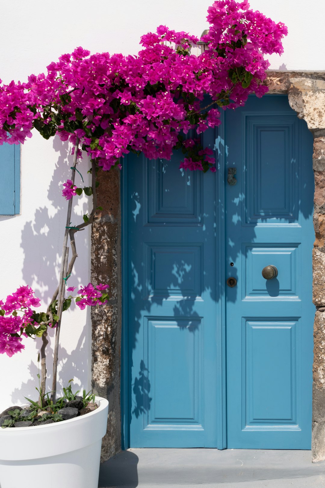 purple flowers on blue wooden door