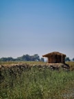 brown wooden house on green grass field during daytime