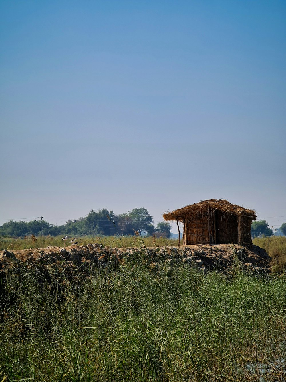 brown wooden house on green grass field during daytime