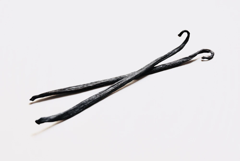 Vainas tahitensis de Papúa Nueva Guinea