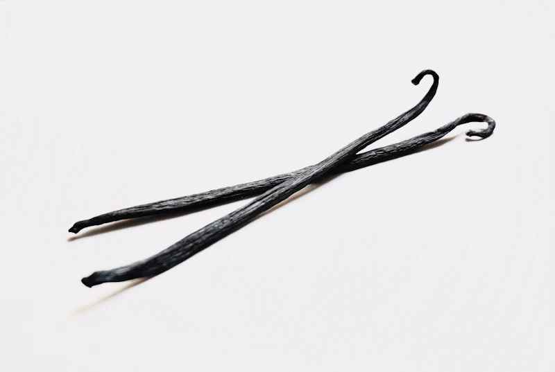 Macro close-up of vanilla bean texture