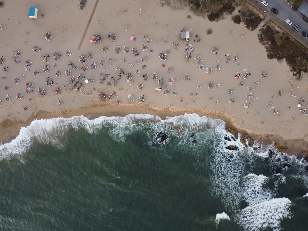 people on beach during daytime