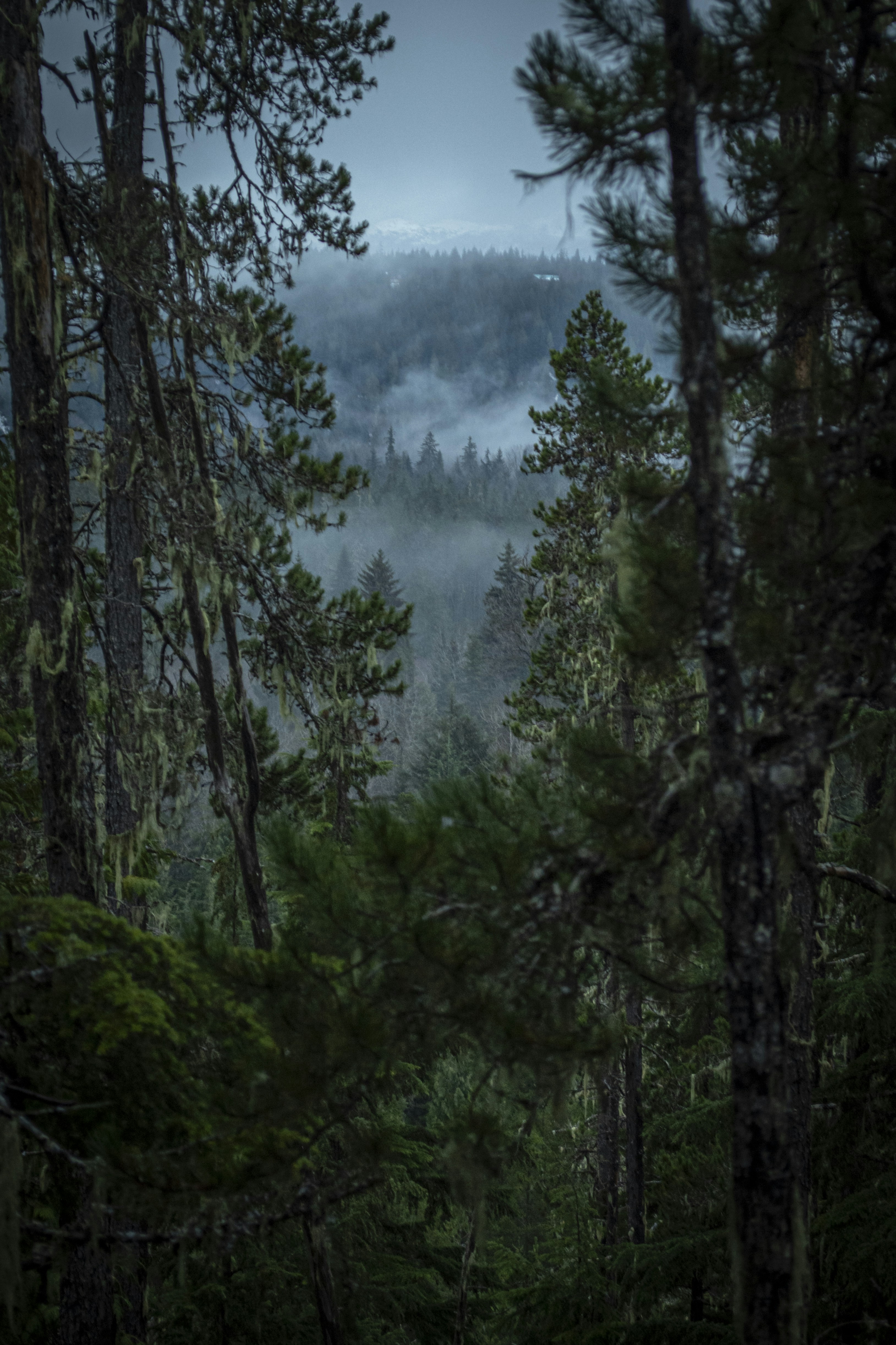 Photo by ladyfernphotos