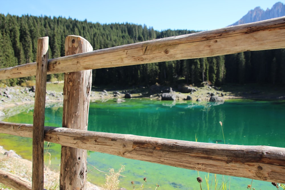 brown wooden fence near green water