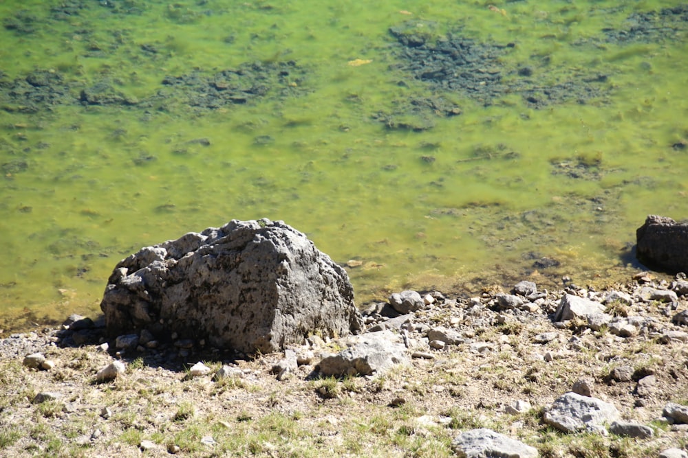 gray rock near green grass field during daytime
