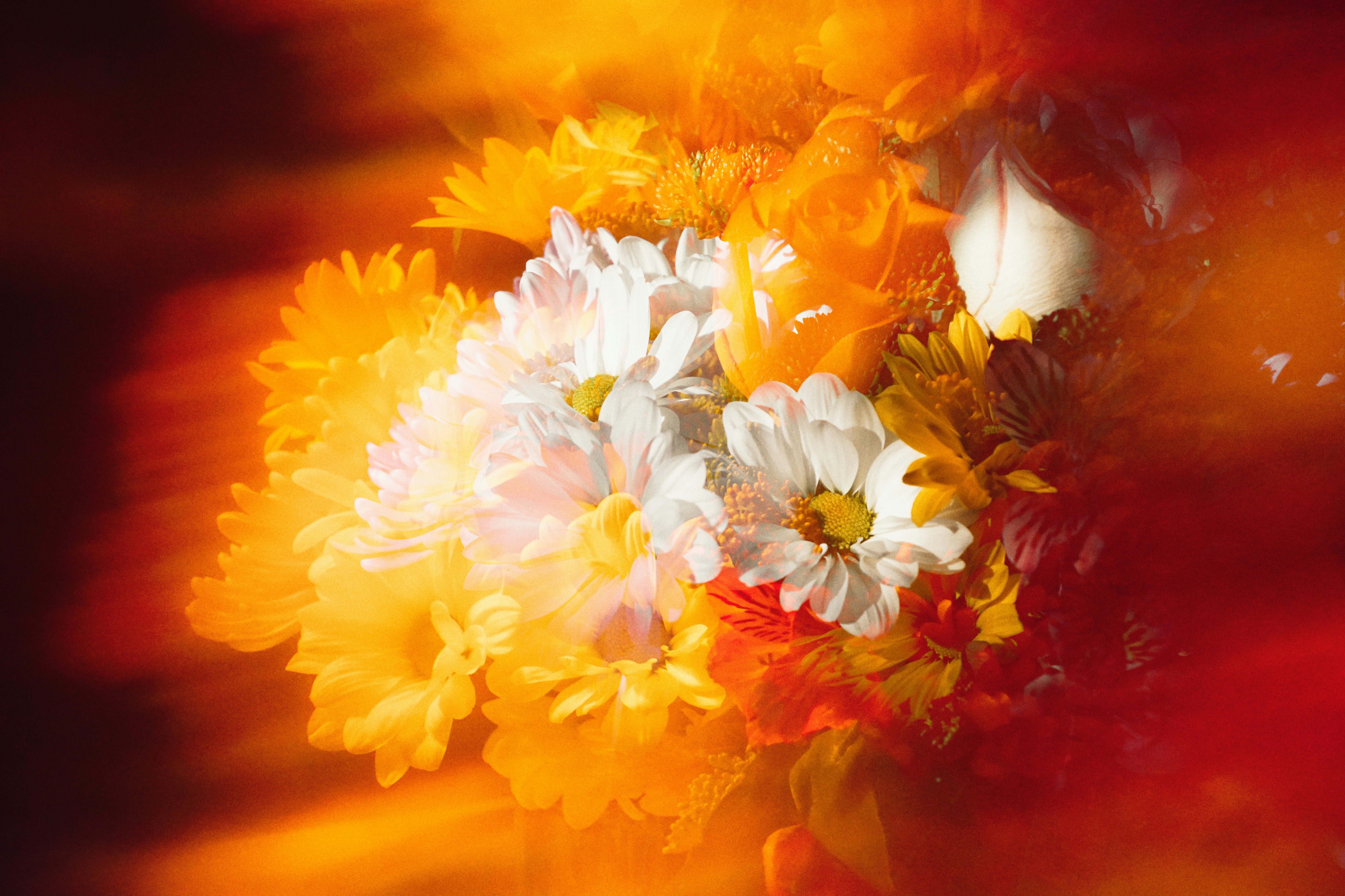 white and yellow flowers on brown wooden table