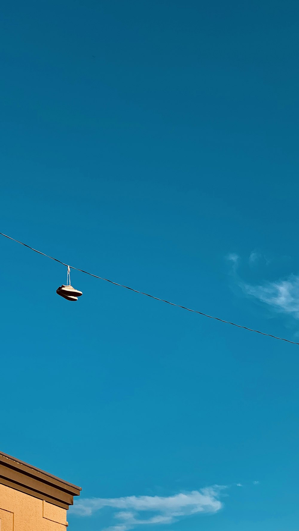 black bird flying on blue sky during daytime