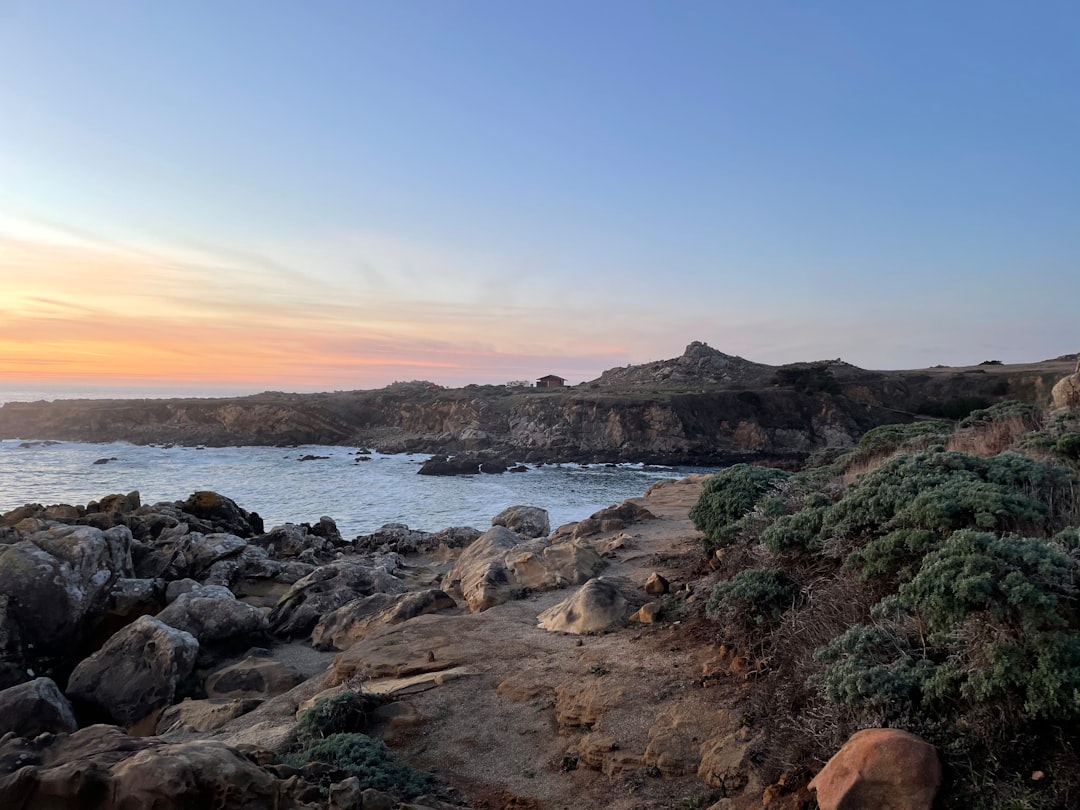 brown rocky shore near body of water during daytime