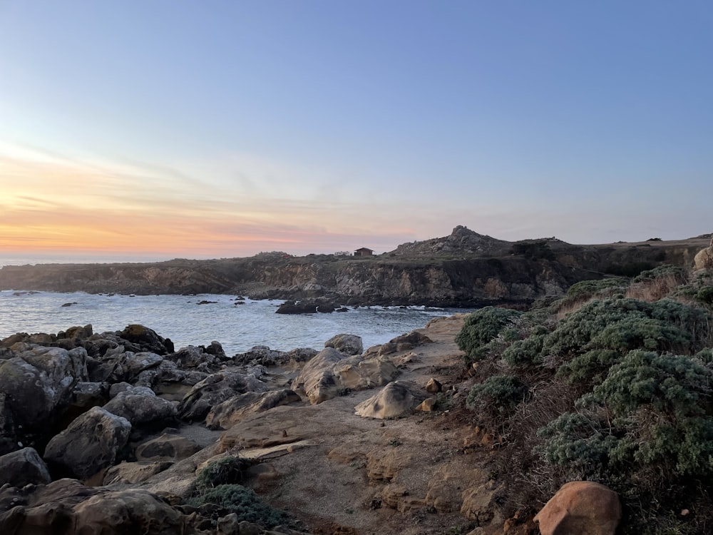 brown rocky shore near body of water during daytime