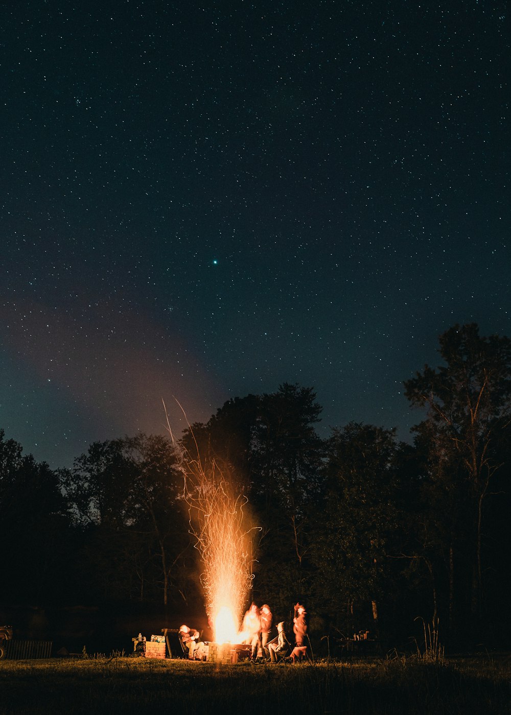 bonfire near trees during night time