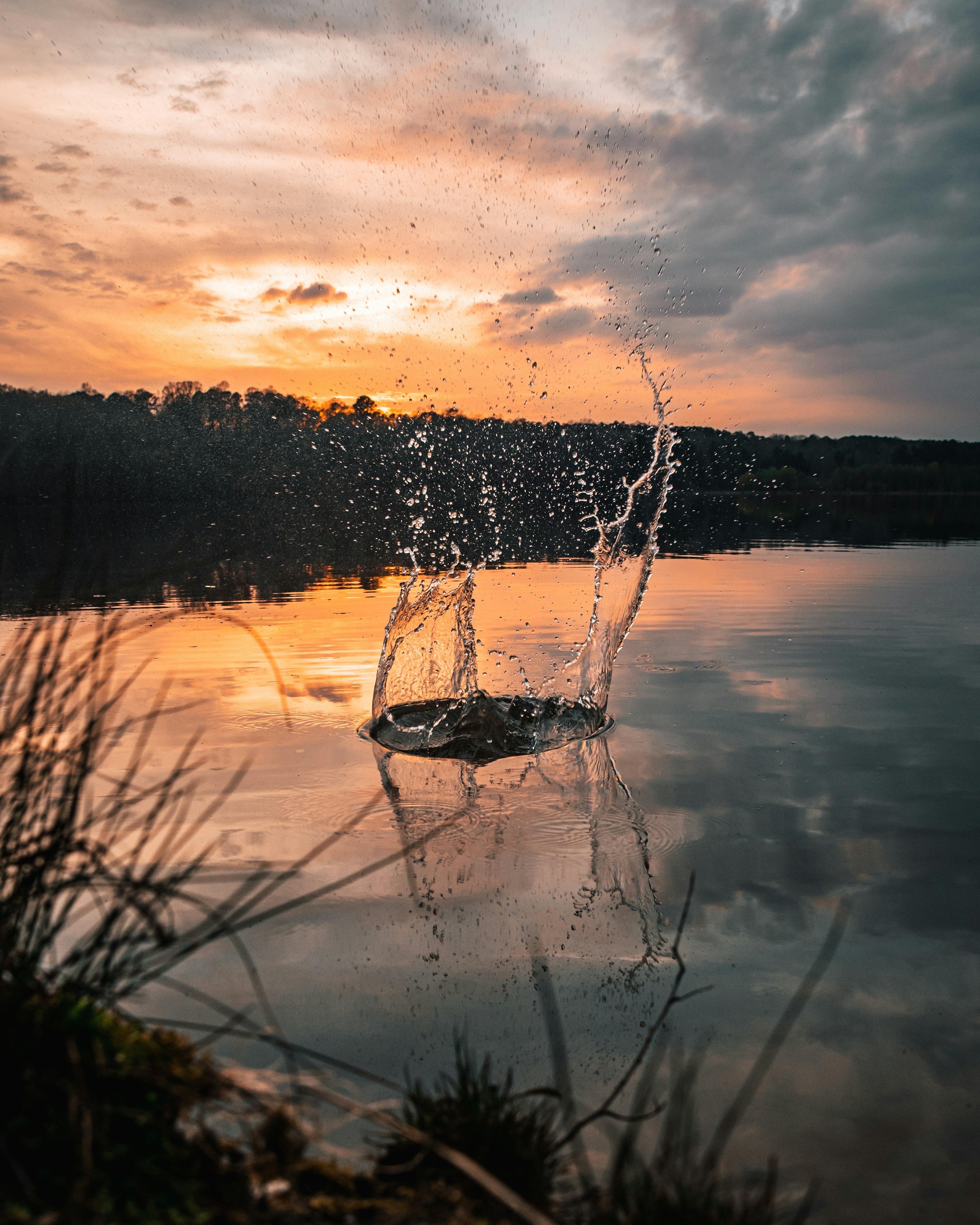 Photo by davepullis