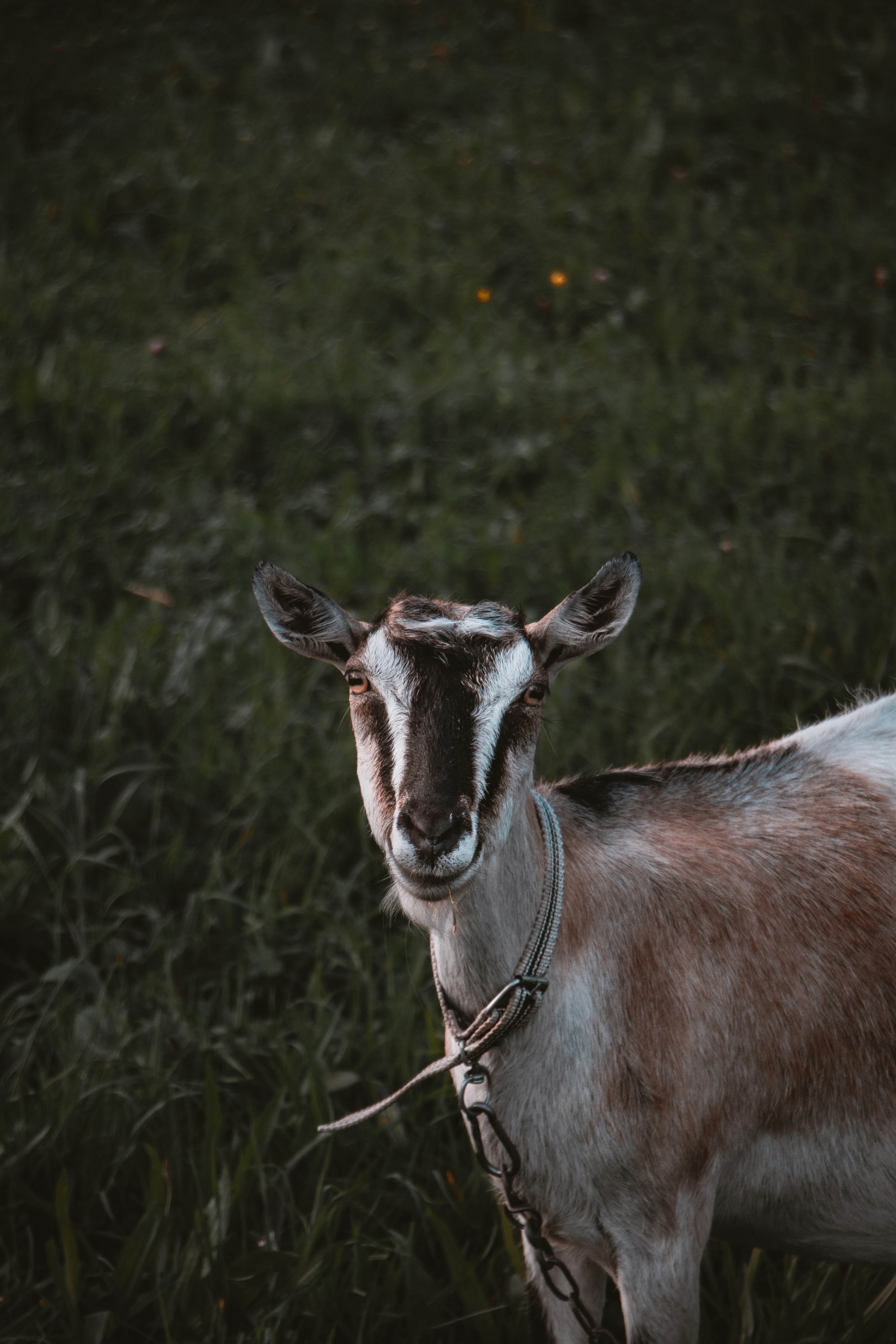 Photo by yuliamatvienko