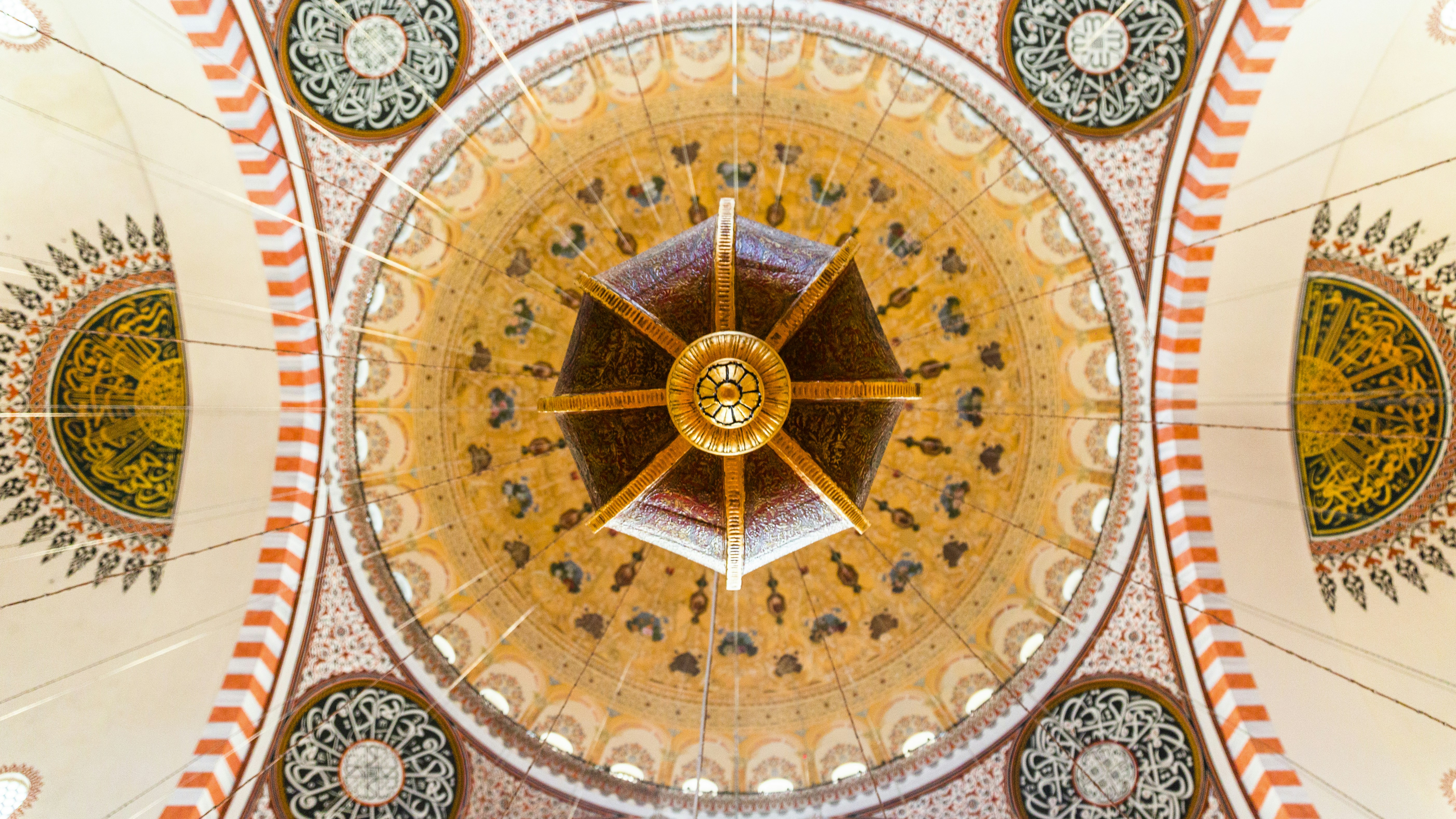 Photo by sinahnyazdi