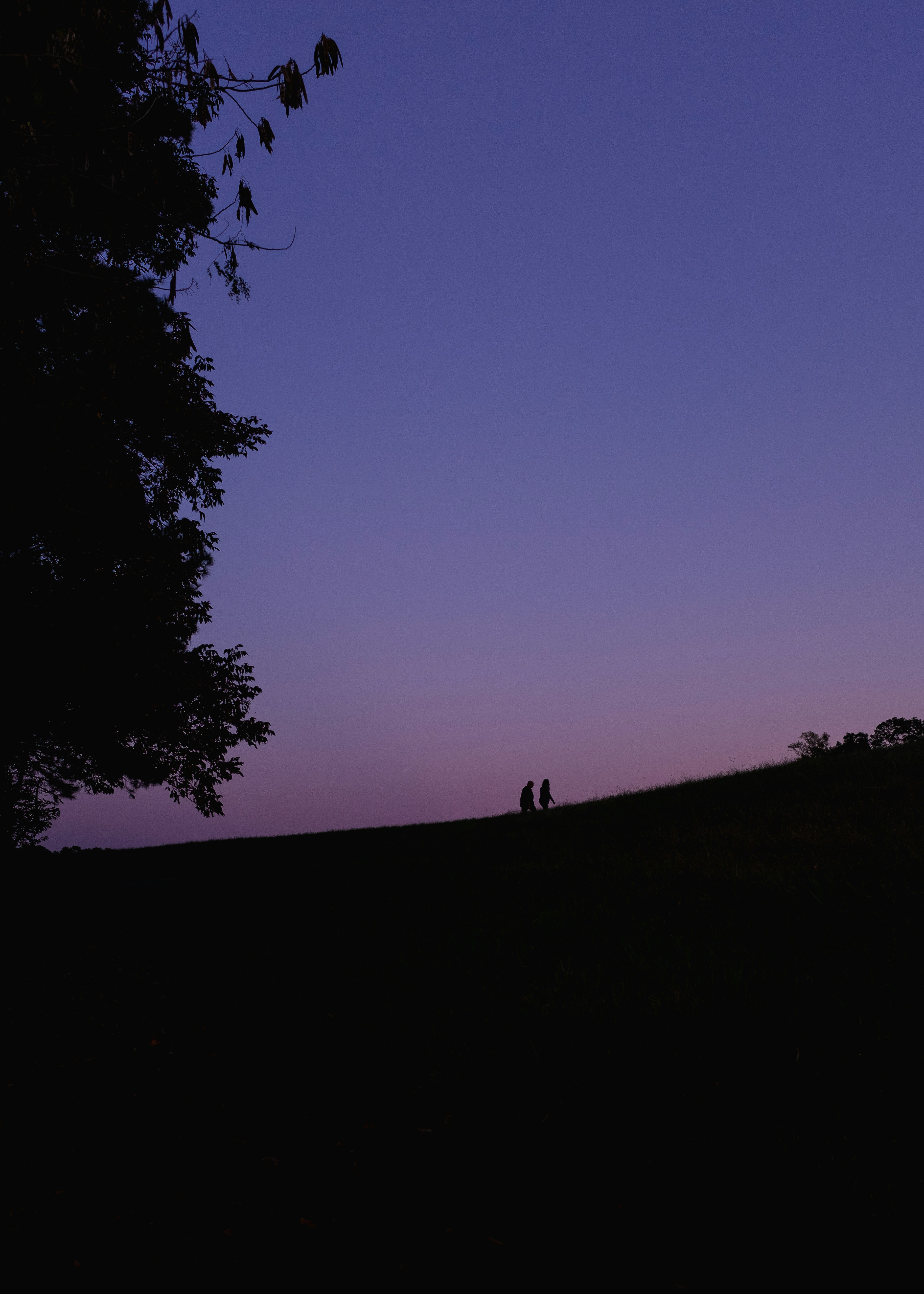 Photo by davepullis