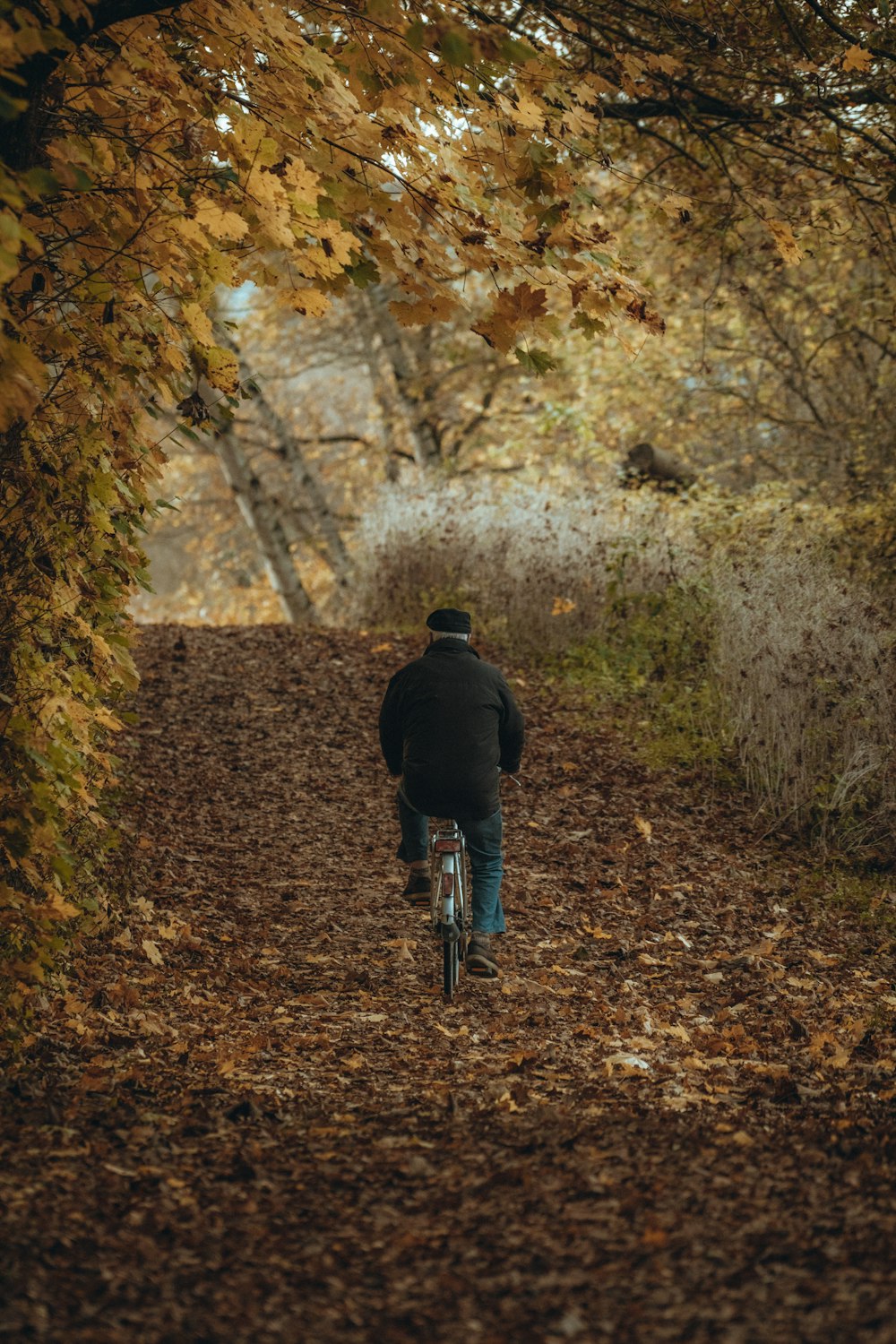 man in black jacket riding bicycle on brown dried leaves during daytime