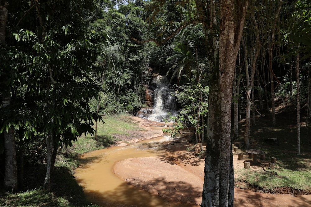 waterfalls in the middle of the forest during daytime