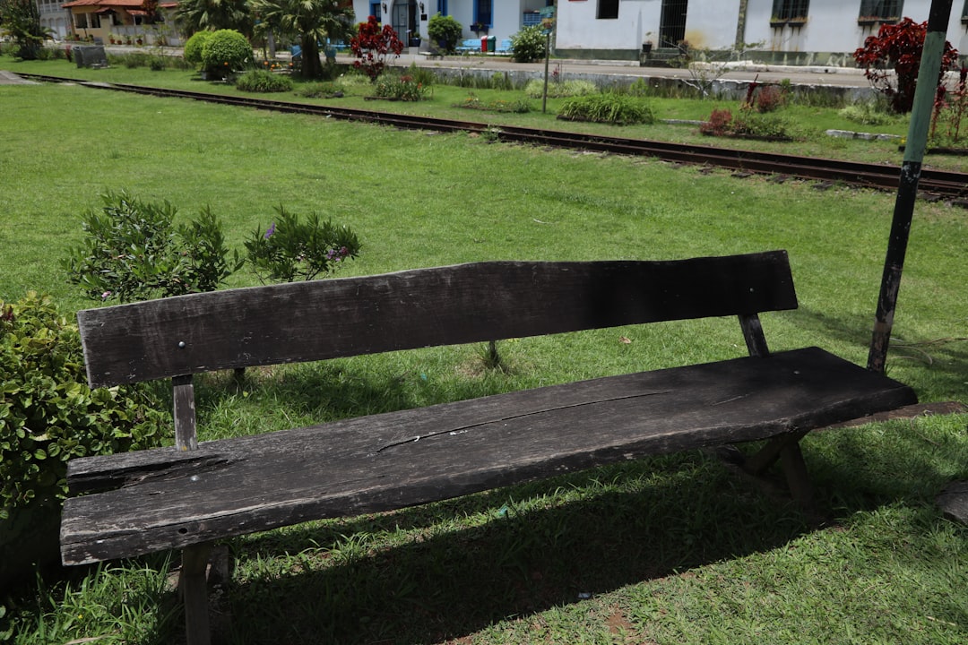 brown wooden bench on green grass field during daytime