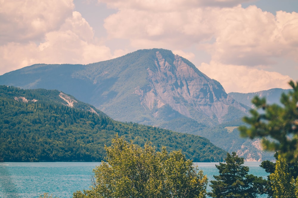 green trees near lake and mountain under white clouds during daytime