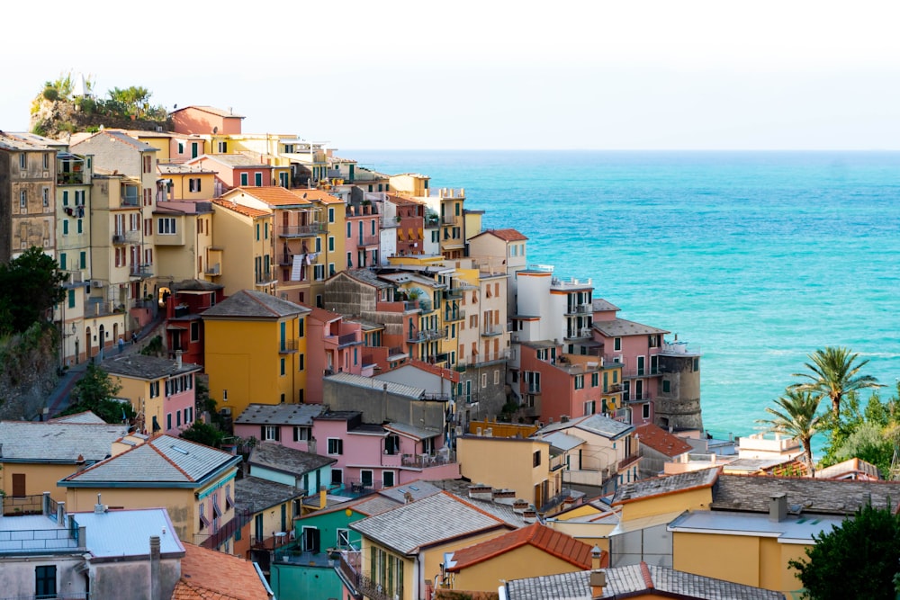 aerial view of city buildings near sea during daytime