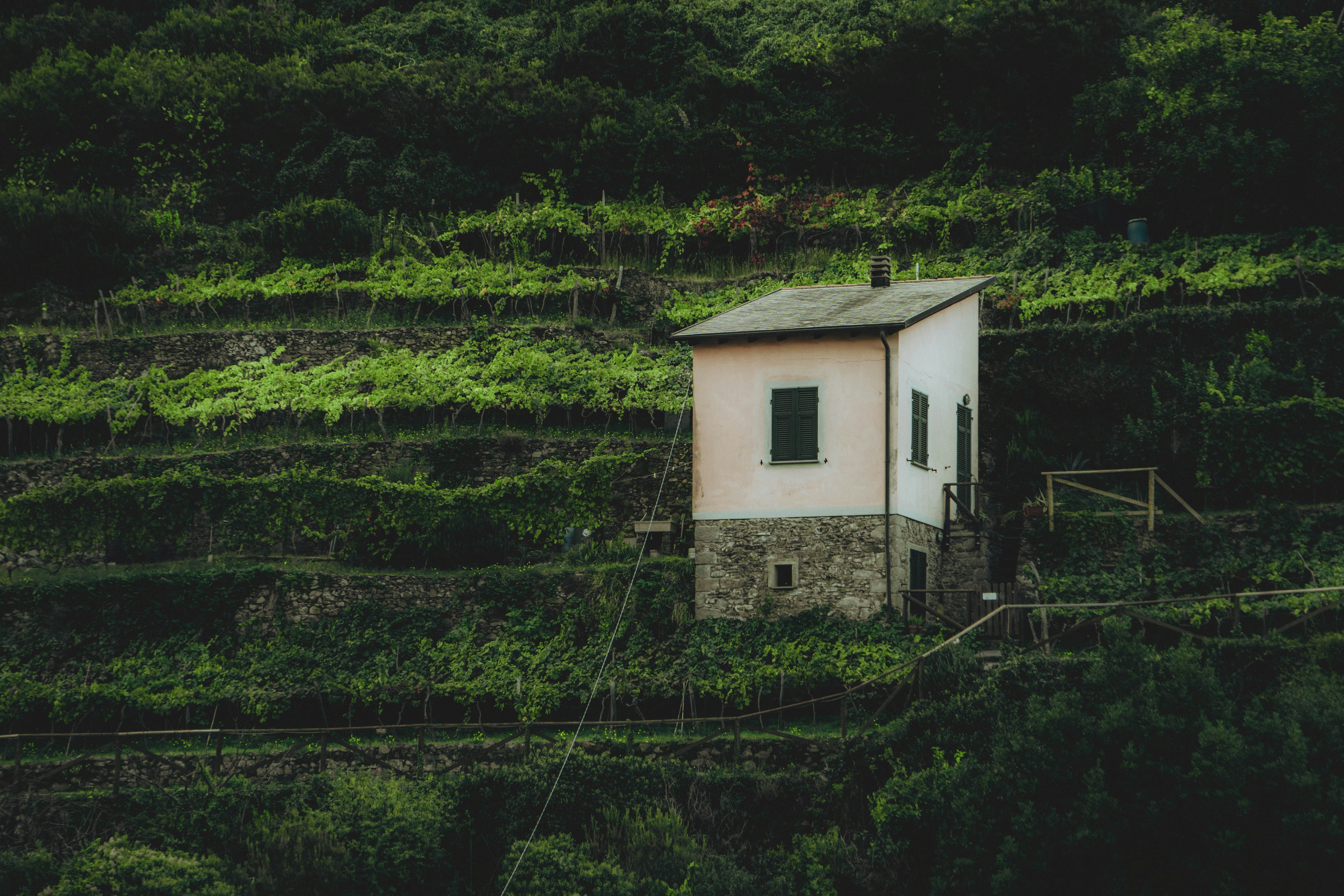 Photo by lennartspictures