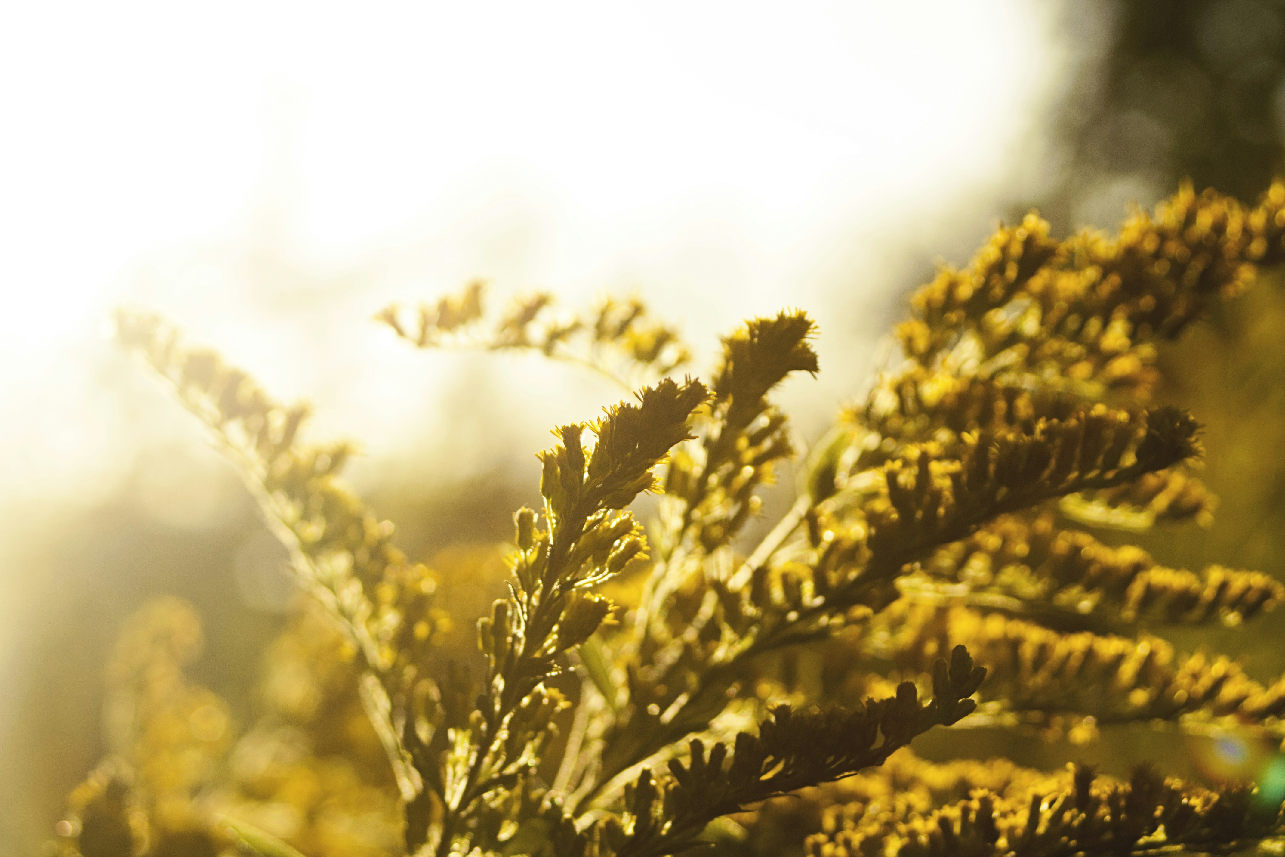 Photo by rubenimages