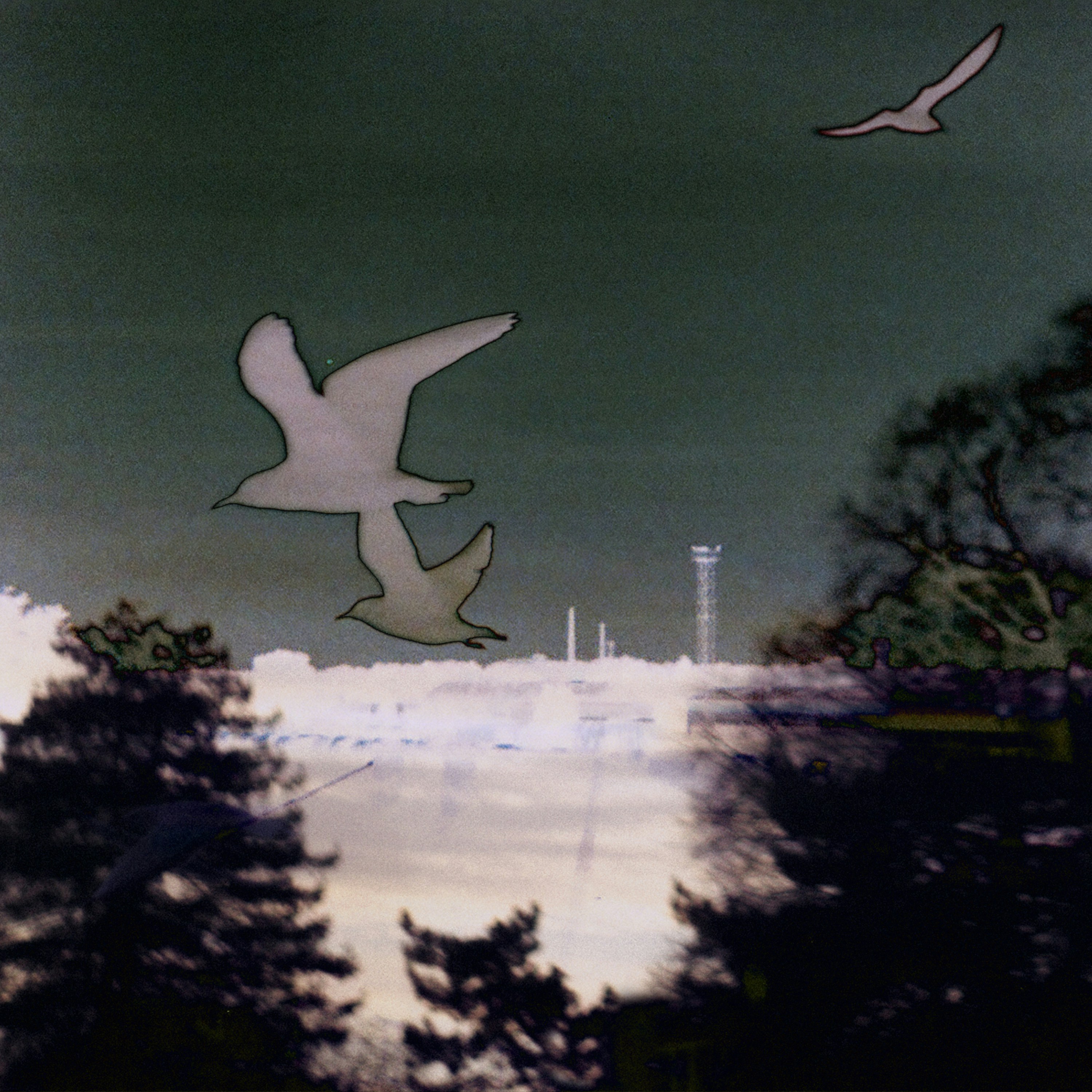 새가 손에 앉는 꿈과 그 의미 여러 키워드의 꿈 해석