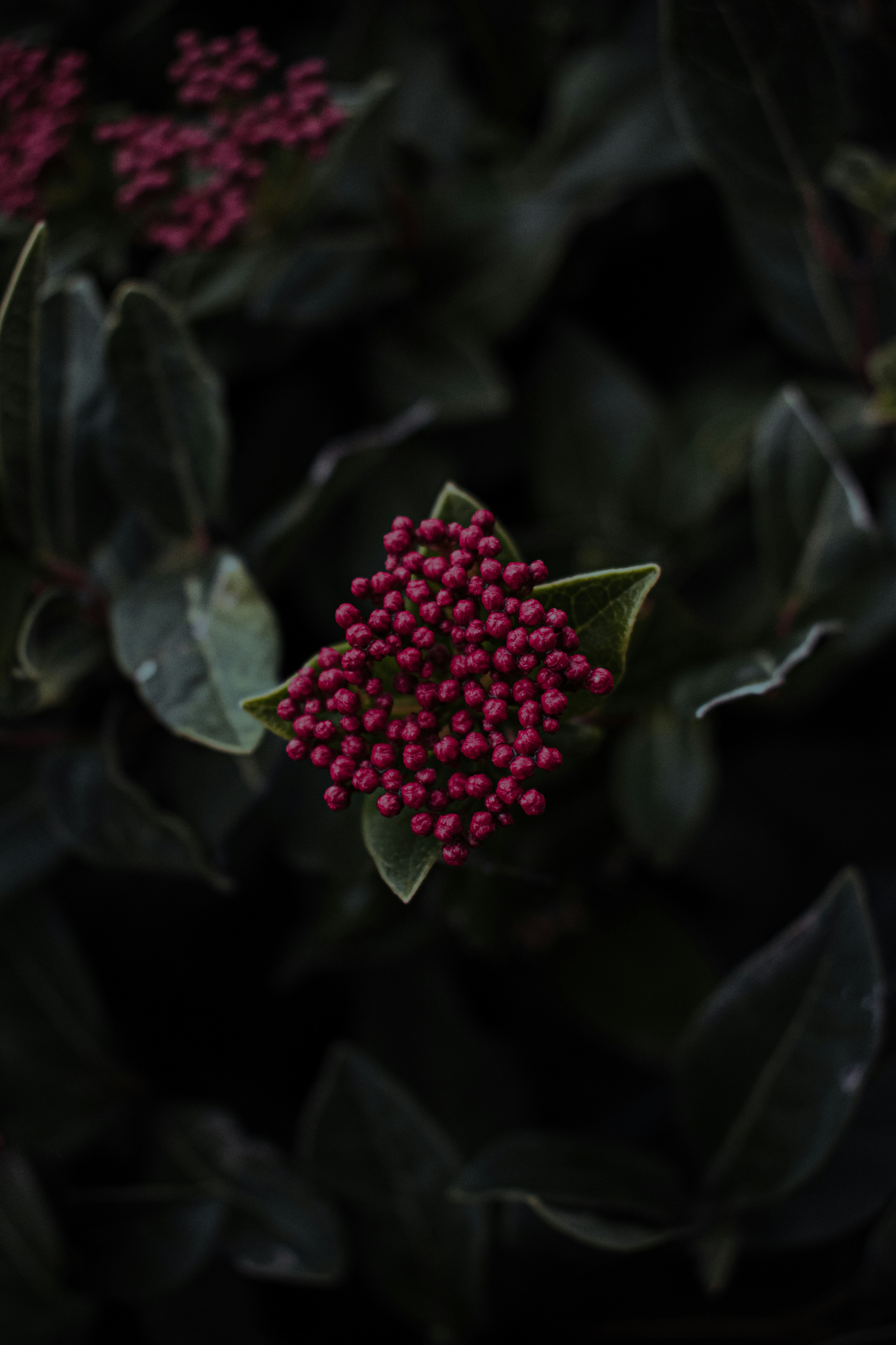Photo by williamsiann