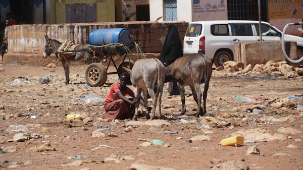 UN: Somalia on the Brink of Famine