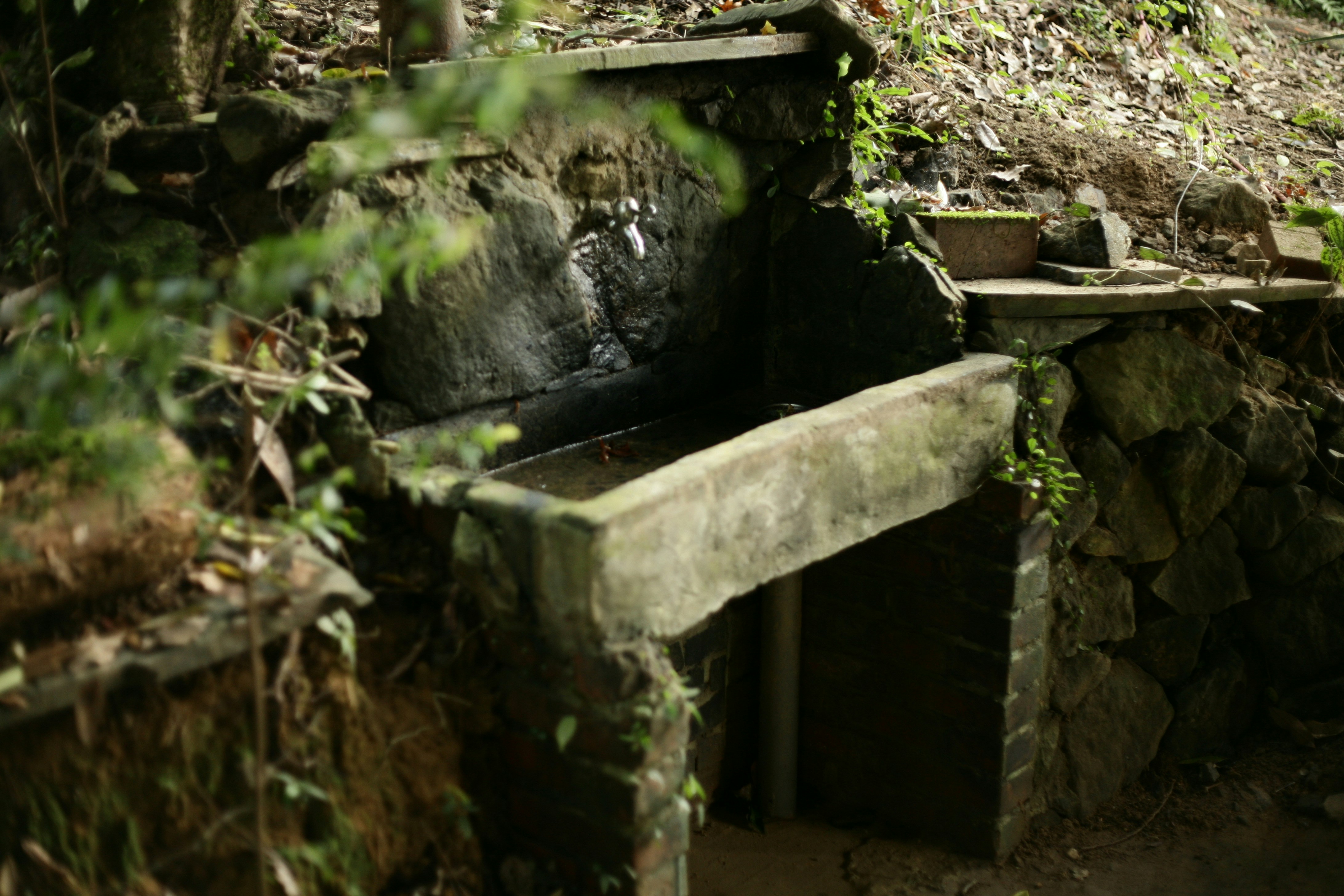 photo-1610502272109-e78fe8567957?ixid=M3wxMjA3fDB8MXxzZWFyY2h8MTl8fGRld2FnYWNvciUyMHNsb3R8ZW58MHx8fHwxNzU2MDQ1NDczfDA\u0026ixlib=rb-4.1.0