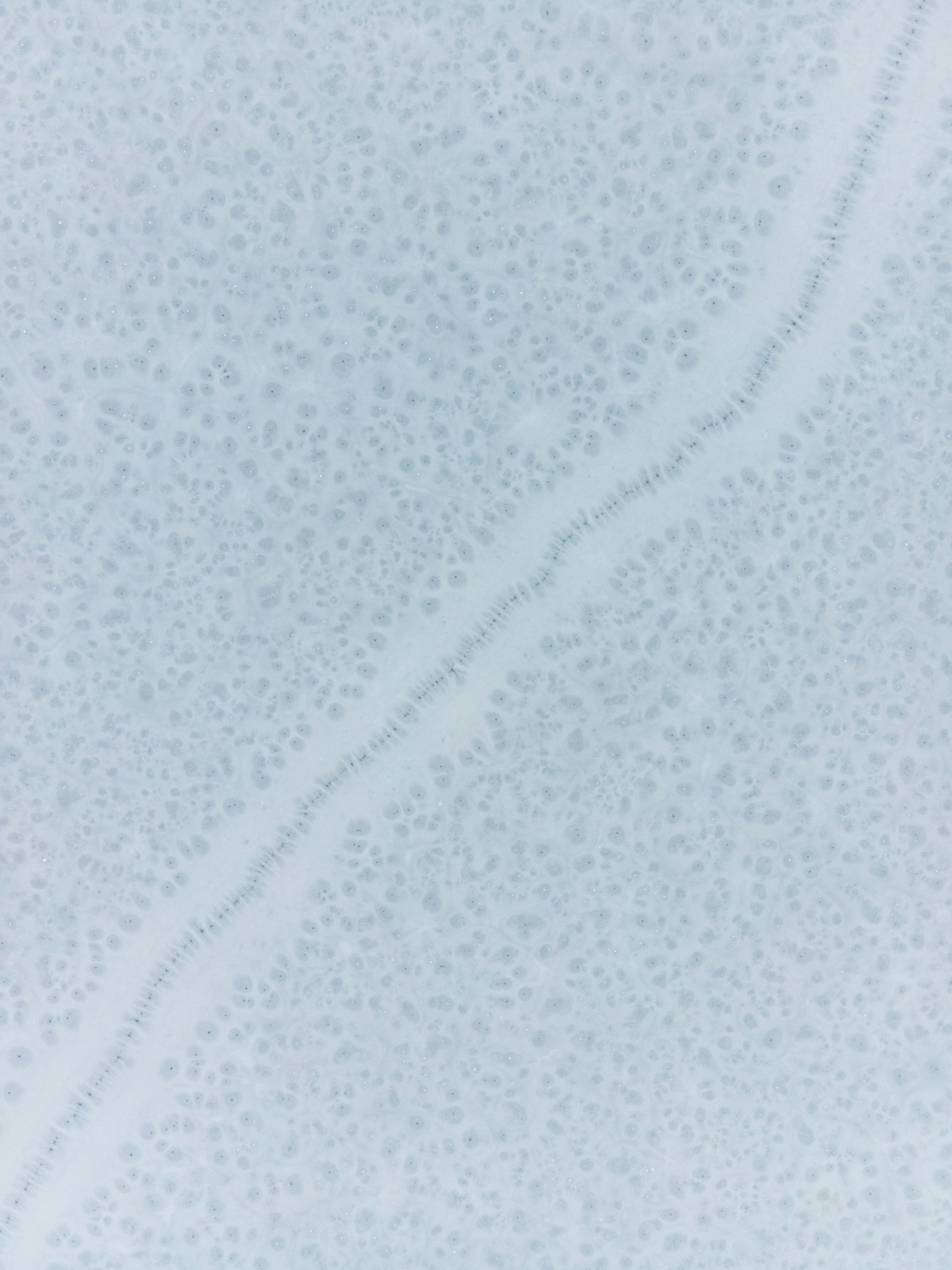 White And Black Abstract Painting Photo Free Texture Image On Unsplash