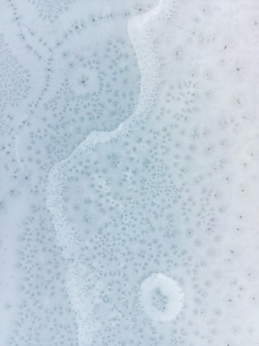 white floral lace textile in close up photography