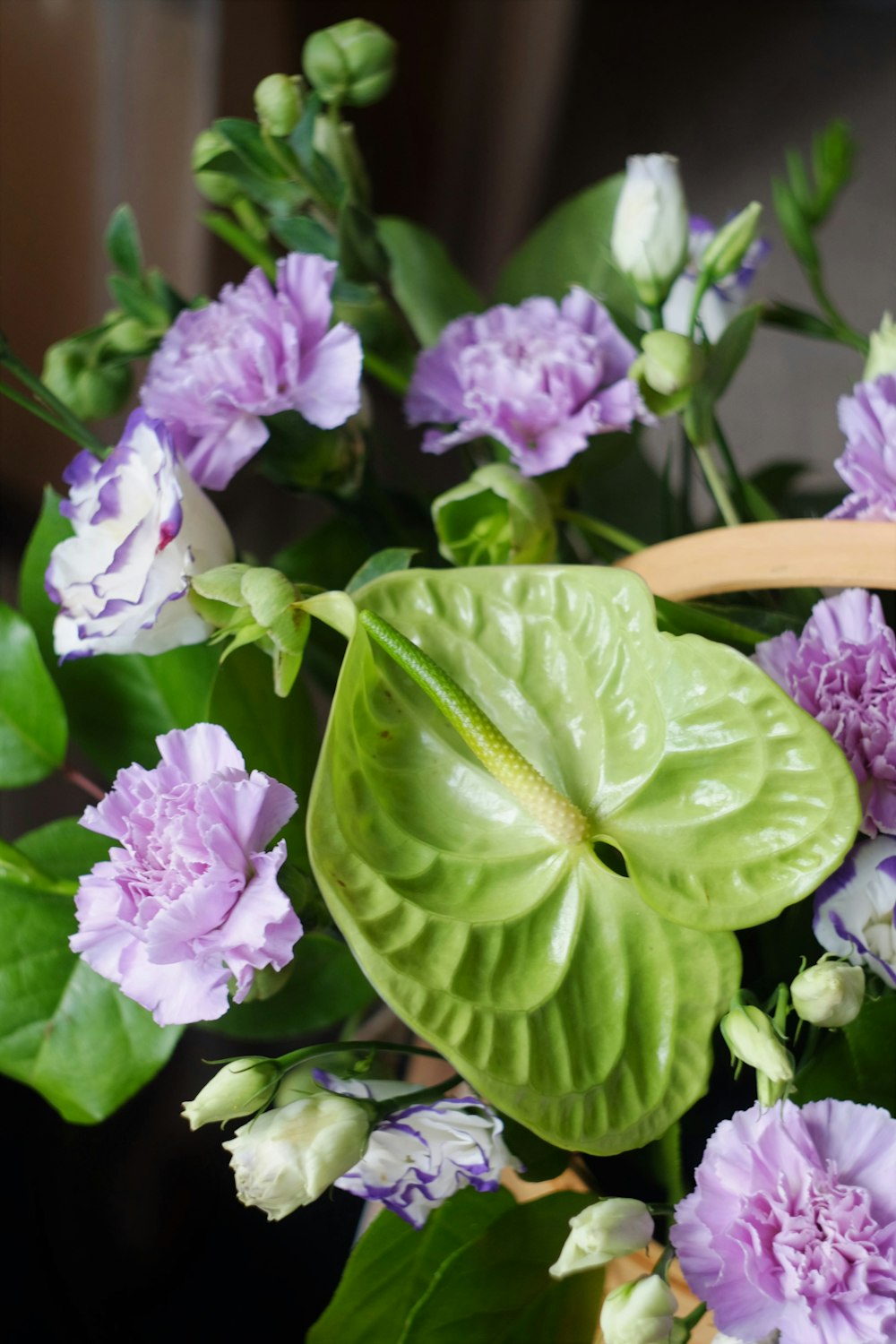 purple flower with green leaves