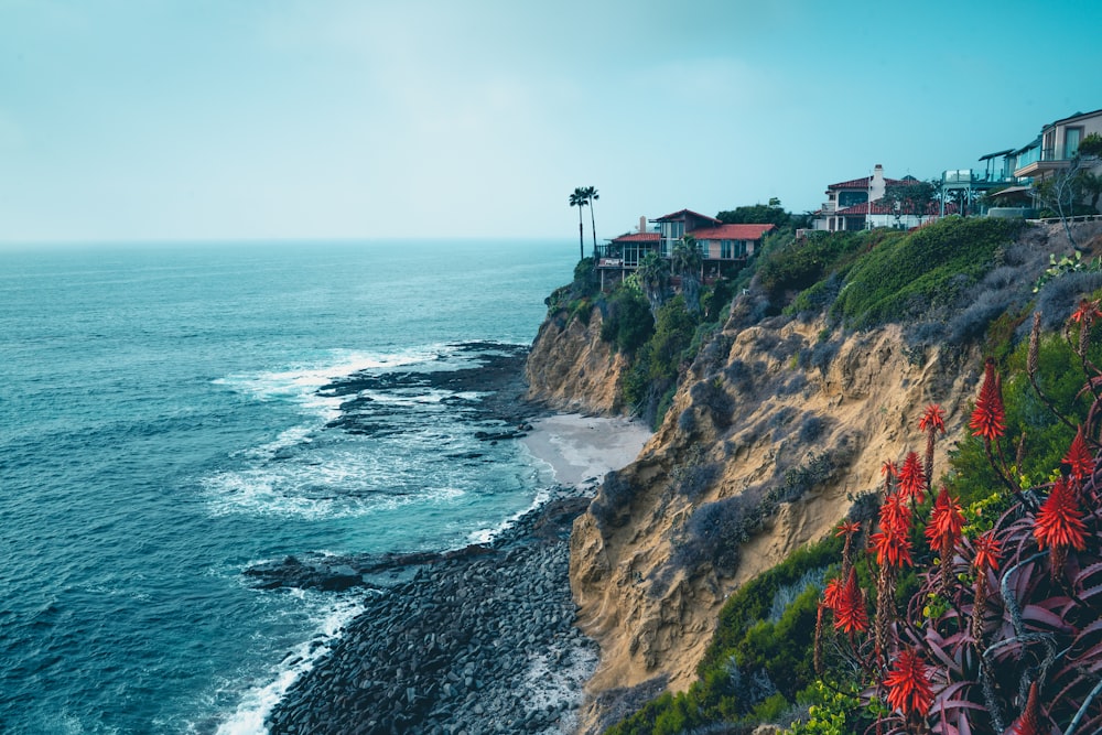 brown and white house on cliff by the sea under white sky during daytime