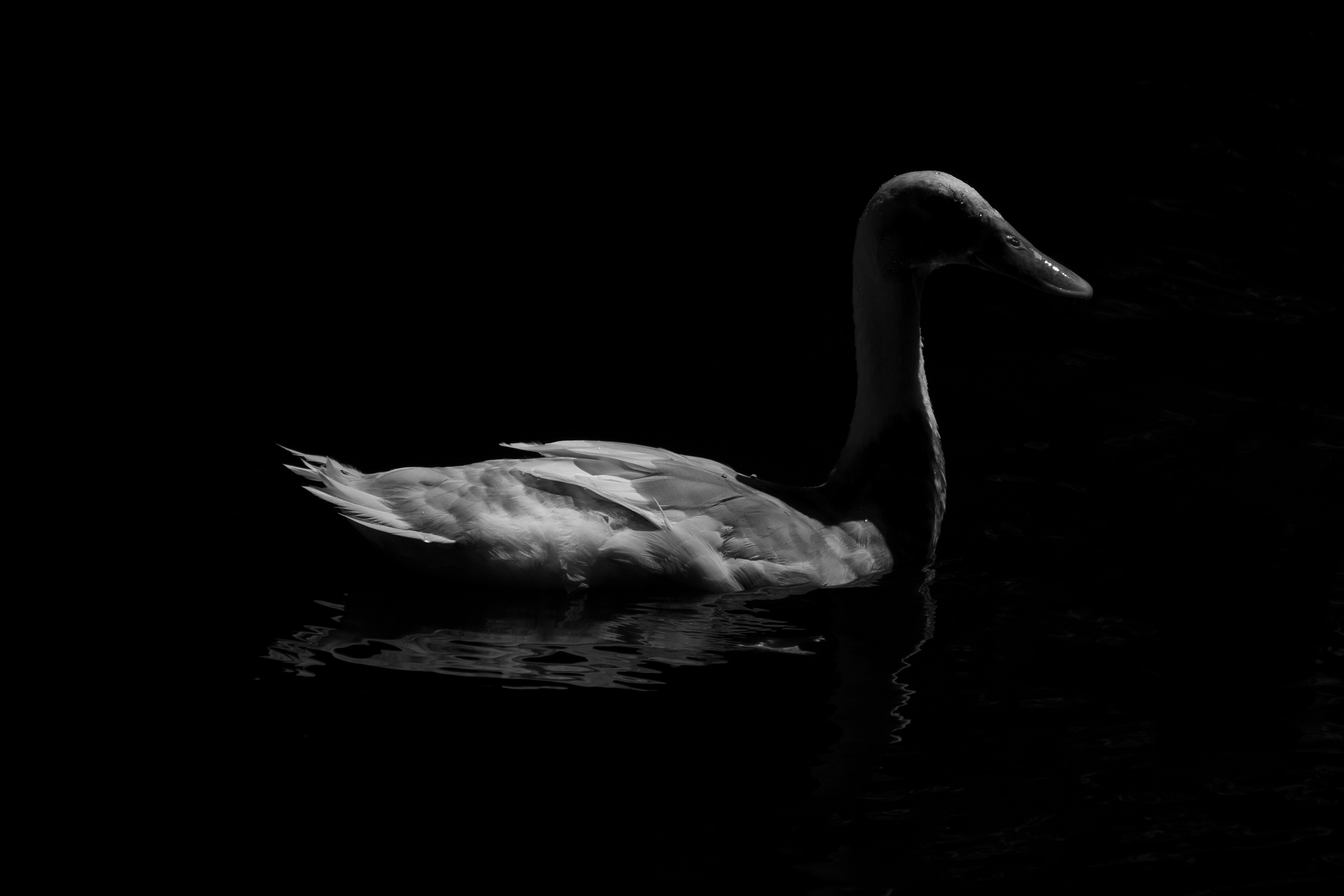 Photo by avillaalegria