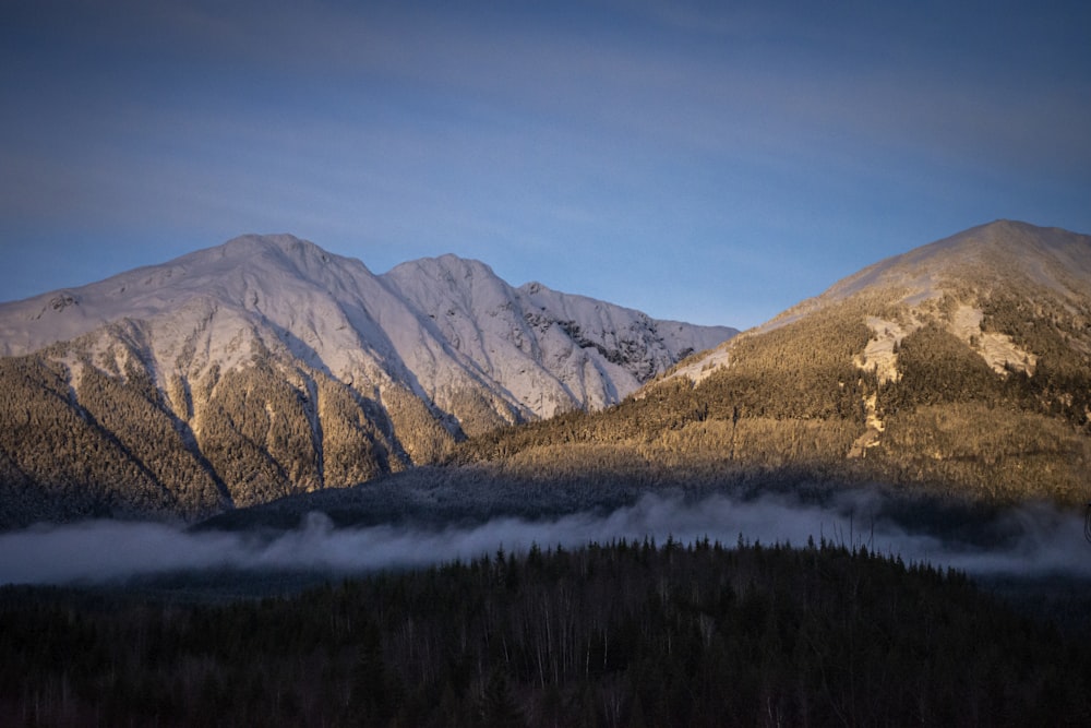 Arbres verts près de la montagne brune sous le ciel bleu pendant la journée