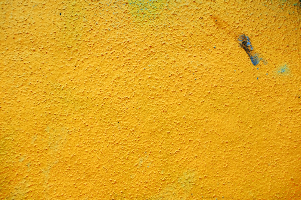 노란색과 흰색 페인트 벽