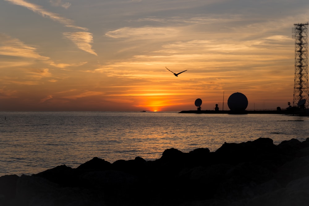 Silhouette eines Vogels, der während des Sonnenuntergangs über das Meer fliegt