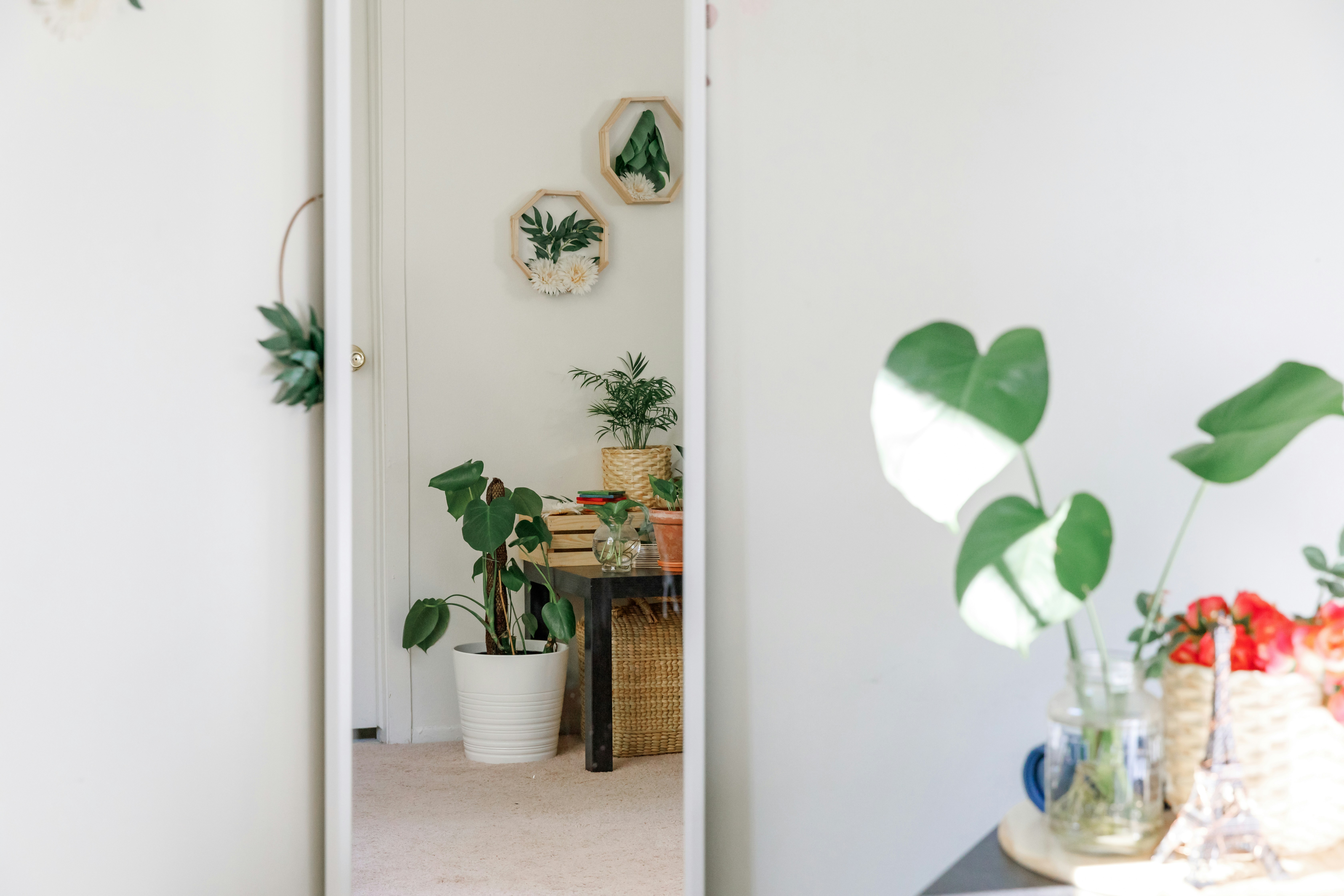green potted plant on white table