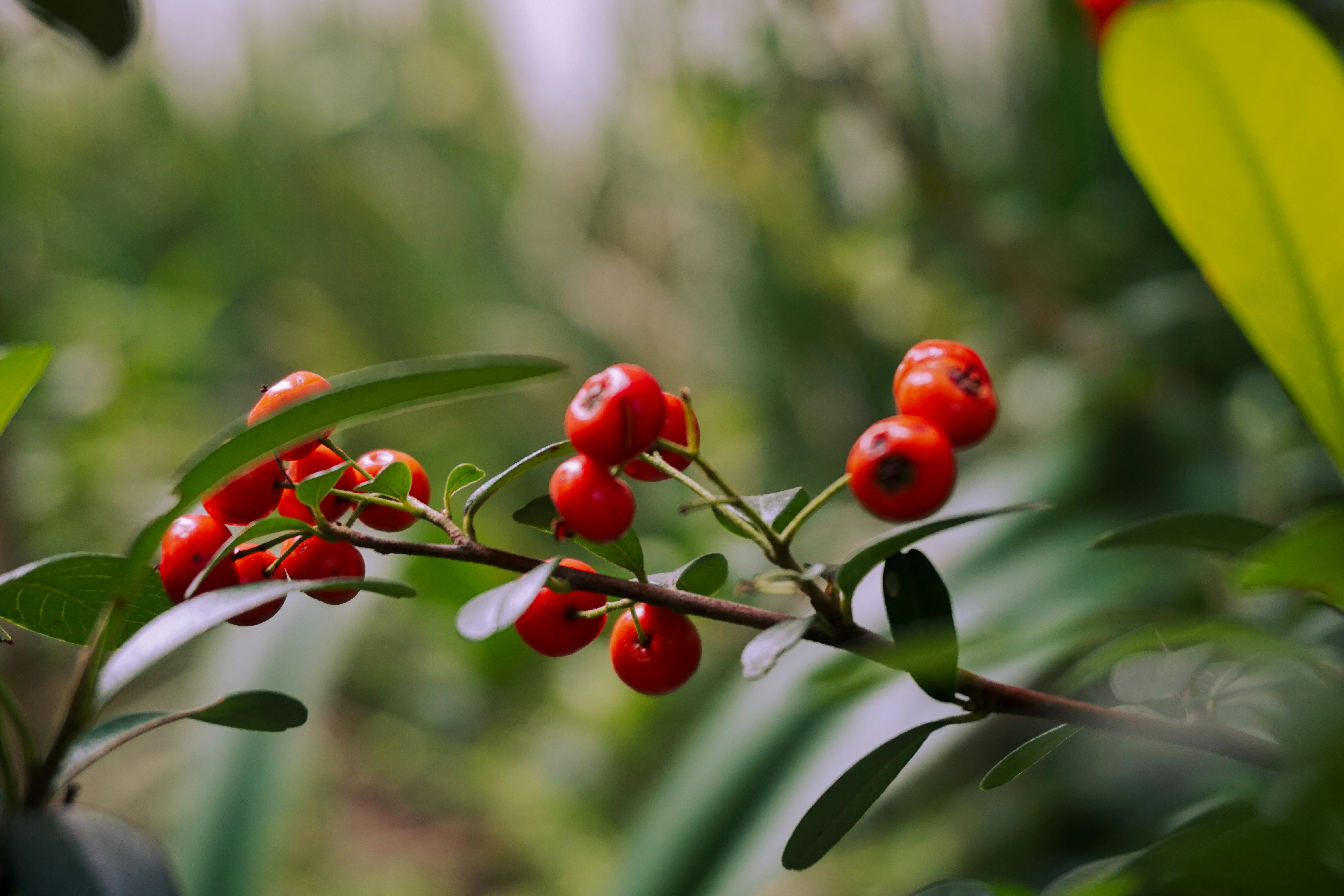 Photo by ximenaalvizouri